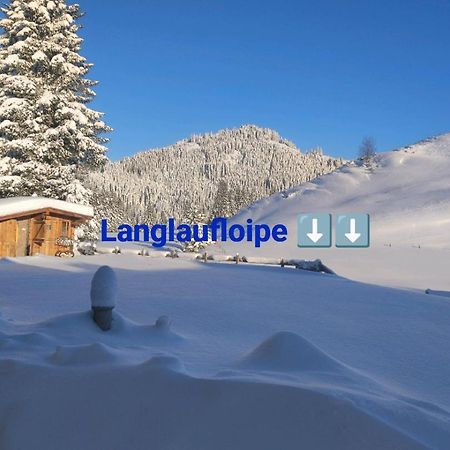 Haus Jessica Incl National Park Sommercard Mittersill Exterior photo