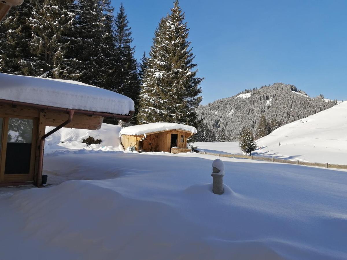 Haus Jessica Incl National Park Sommercard Mittersill Exterior photo