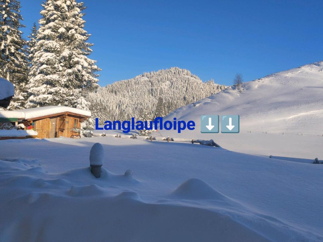 Haus Jessica Incl National Park Sommercard Mittersill Exterior photo